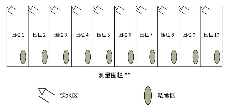 農(nóng)場(chǎng)動(dòng)物飼養(yǎng)3.jpg